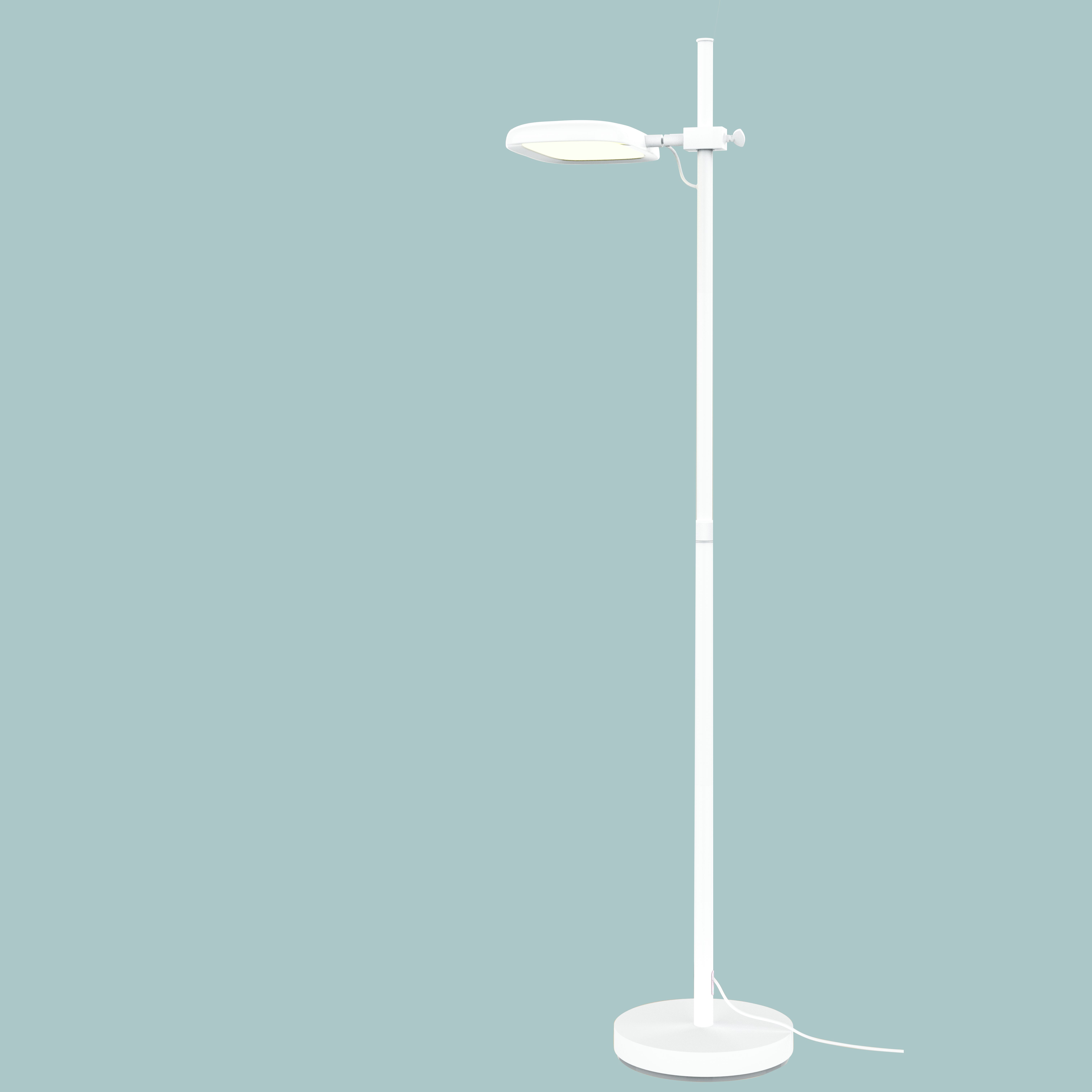 Negative oxygen ion ground lamp