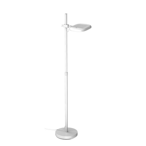 Negative oxygen ion ground lamp