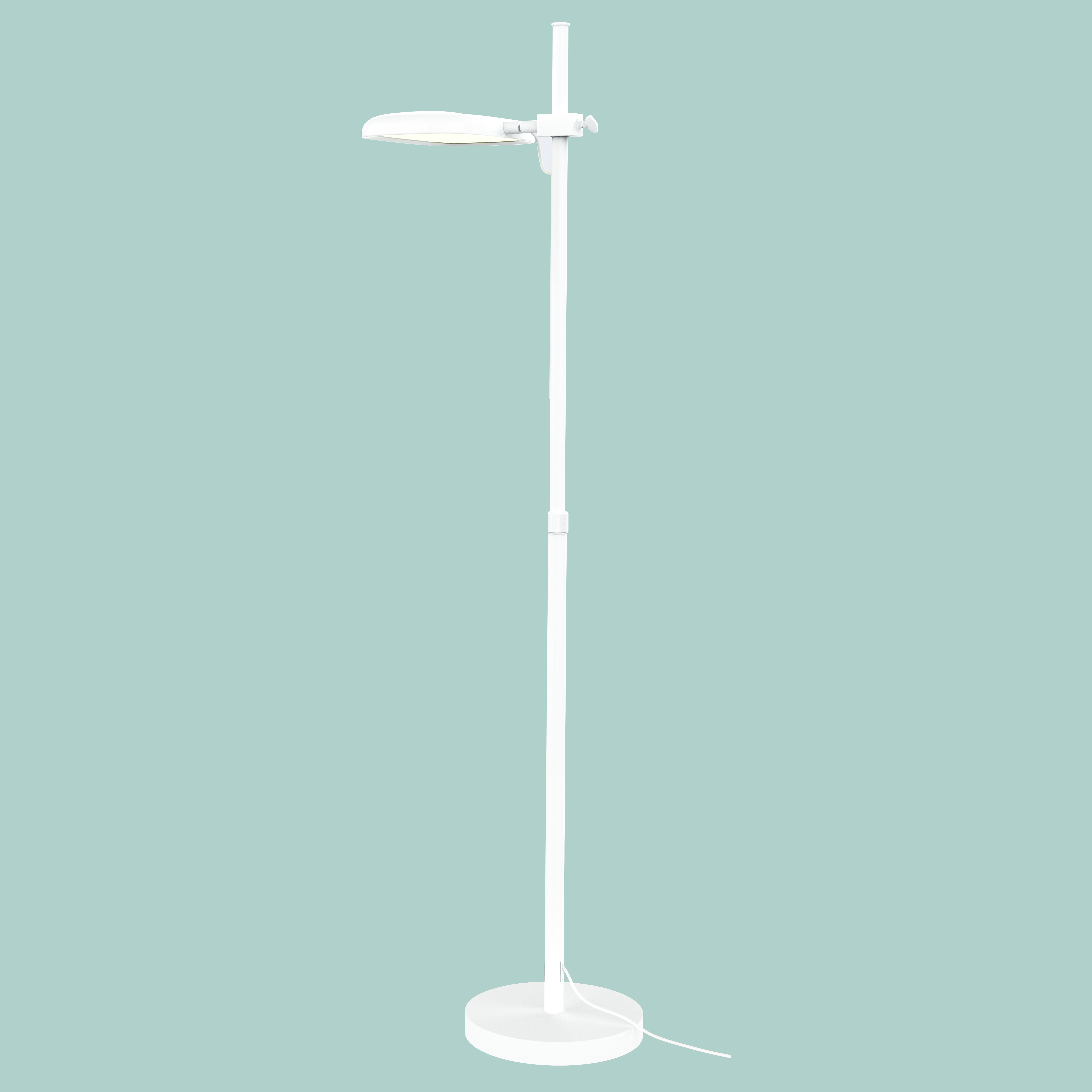 Negative oxygen ion ground lamp