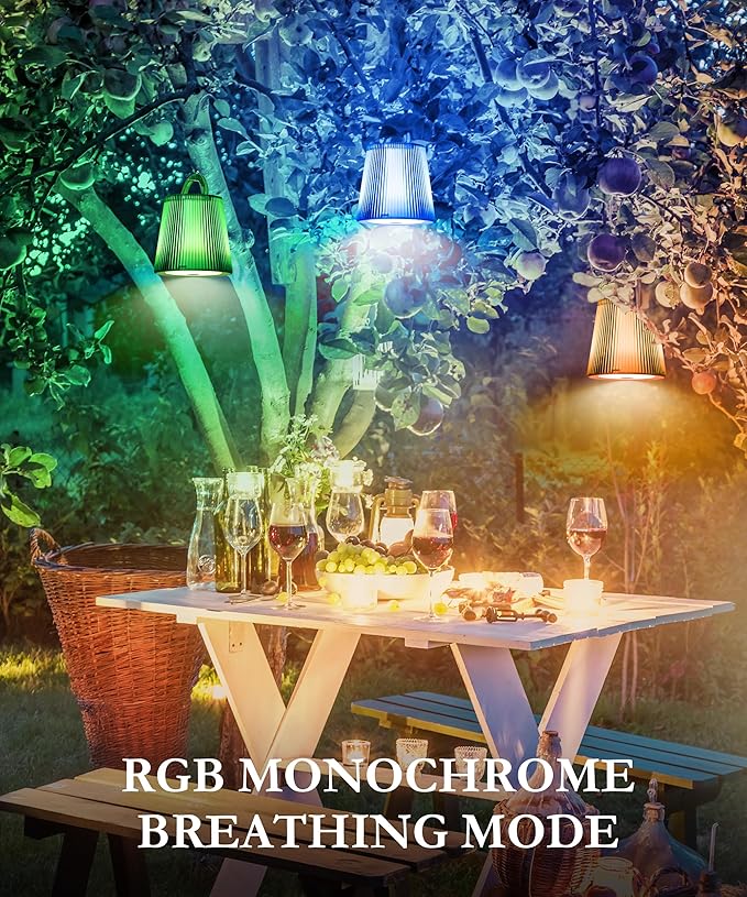 Portable Cordless Table Lamp, 5000mAh Battery Operated Lamp, Wireless Touch Table Lamp, 3000K Stepless Dimming Up +RGB Led Table Lamp, Modern Portable Table Light for Daily (1pc Blue)