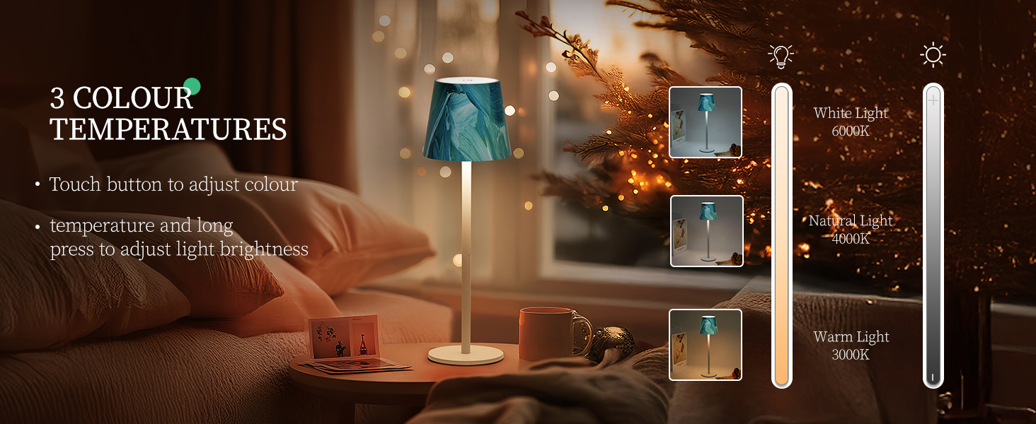 2c8d6490-5f63-491a-88da-155a1e99378e.__CR0,0,1464,600_PT0_SX1464_V1___